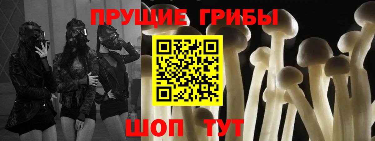 Галлюциногенные грибы прущие грибы Моздок