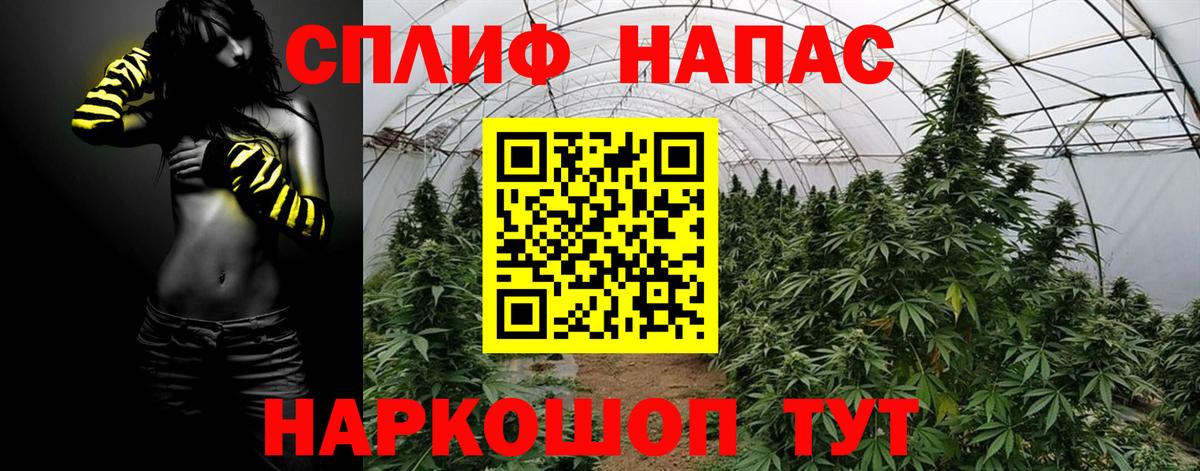 МАРИХУАНА ГИДРОПОН Моздок